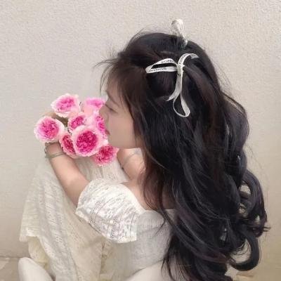 巴黎教育 在线观看
